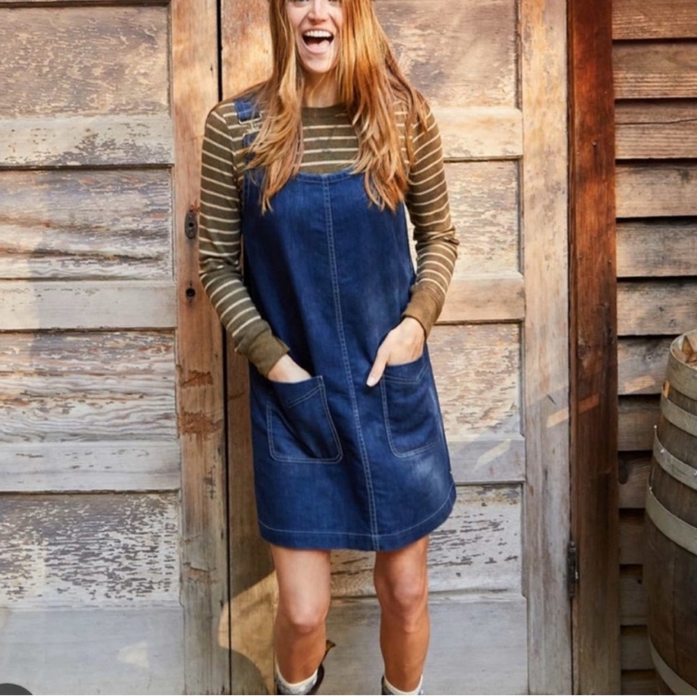 Toad & Co Denim Jumper Dress